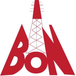 Broadcasting Organisations of Nigeria