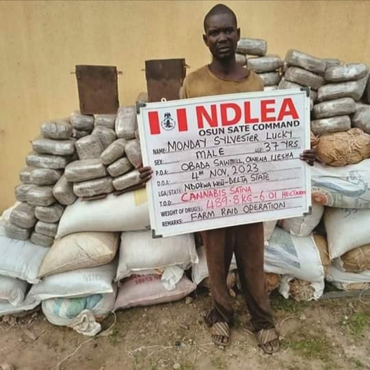 NDLEA Arrests 3 Blind Members Of Drug Syndicate As Trafficker Excretes ...