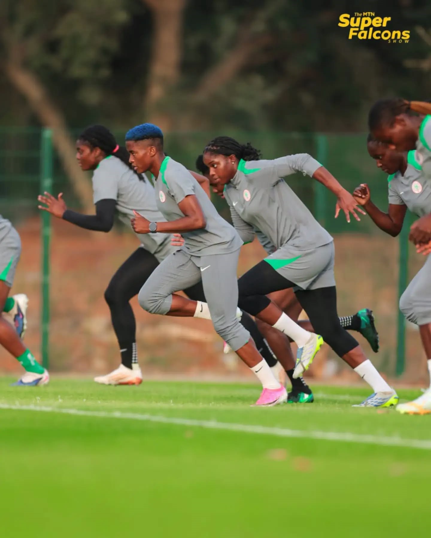 Super Falcons